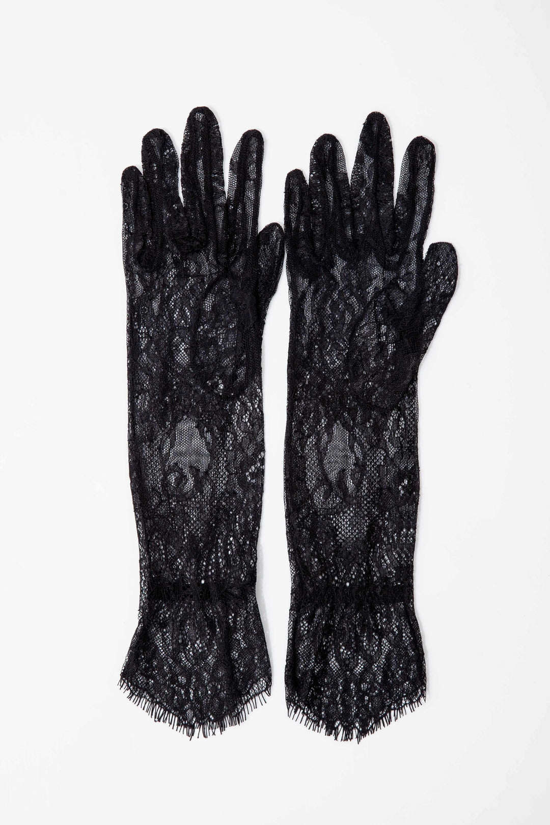 Daphne | Women’s lace gloves with scalloped edge and intricate pattern